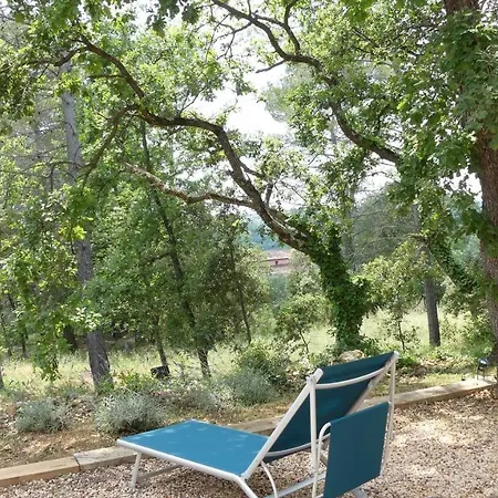 Beautiful 17th Century Bastidon In Provence * Draguignan